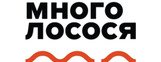 Много Лосося