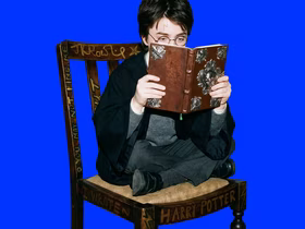 Гарри читает книгу