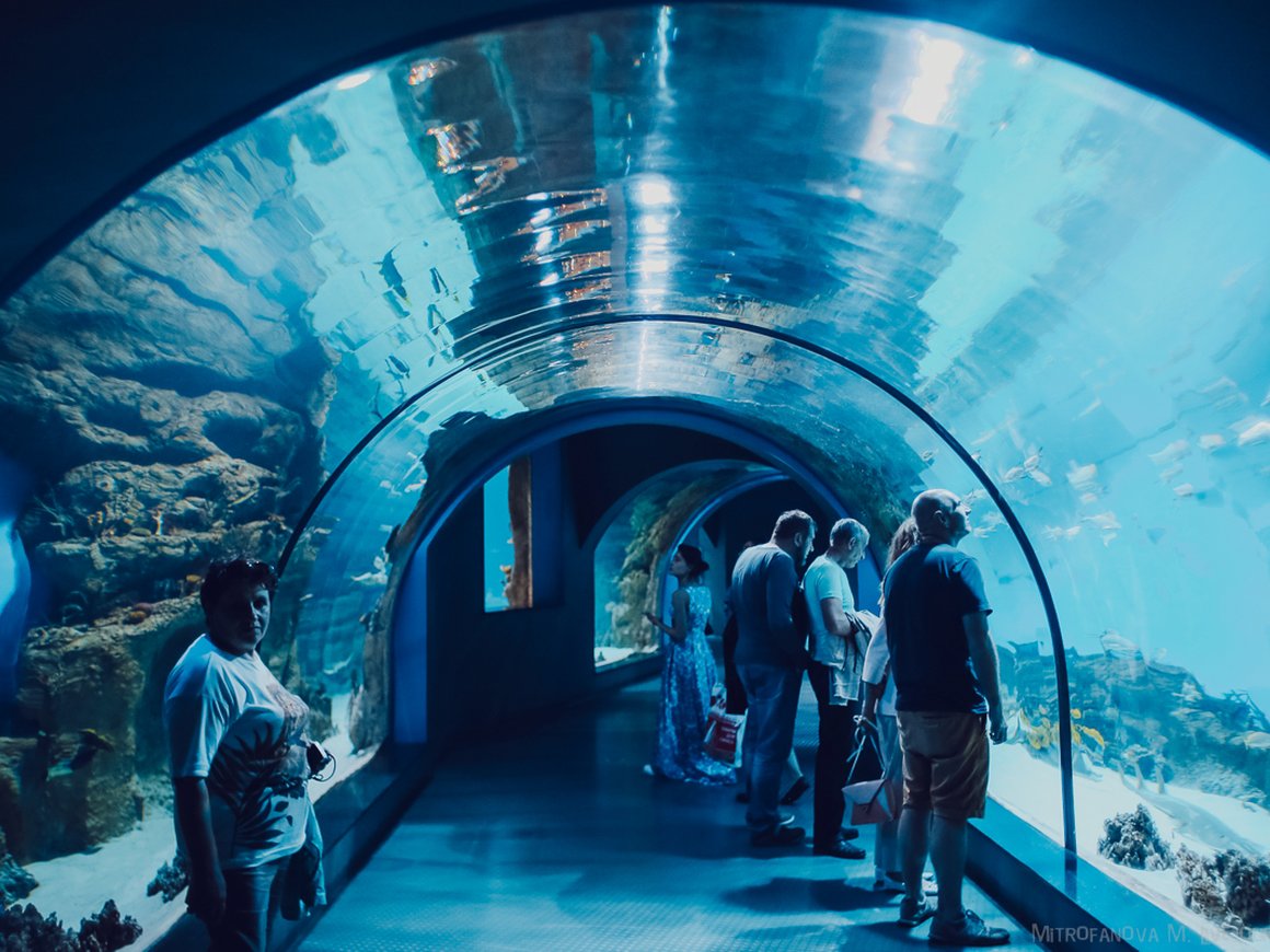 «Москвариум» на ВДНХ запустит систему распознавания лиц от VisionLabs с 1 августа