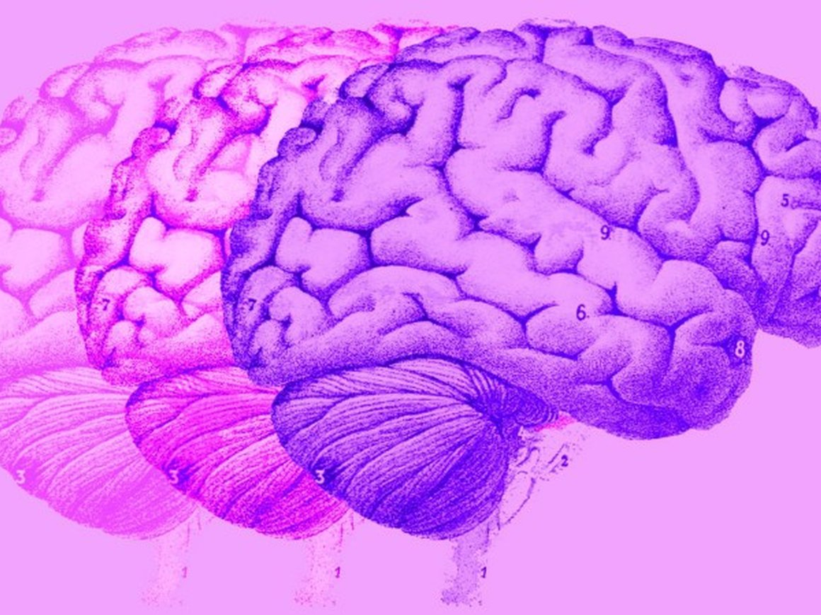 Забудьте про роботов-убийц: 5 реальных проблем, которые может вызвать ИИ в будущем