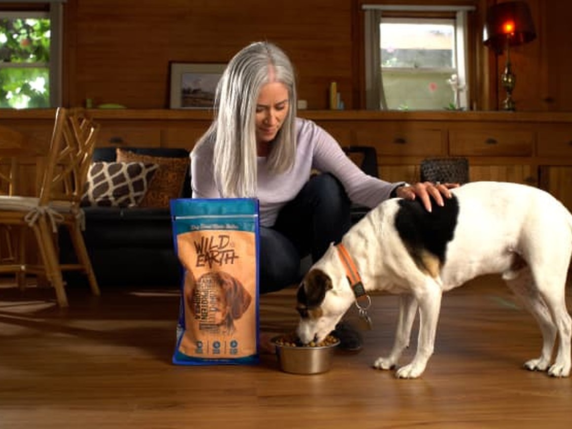 Миллиардер Марк Кьюбан инвестировал в производителя растительного корма для животных Wild Earth