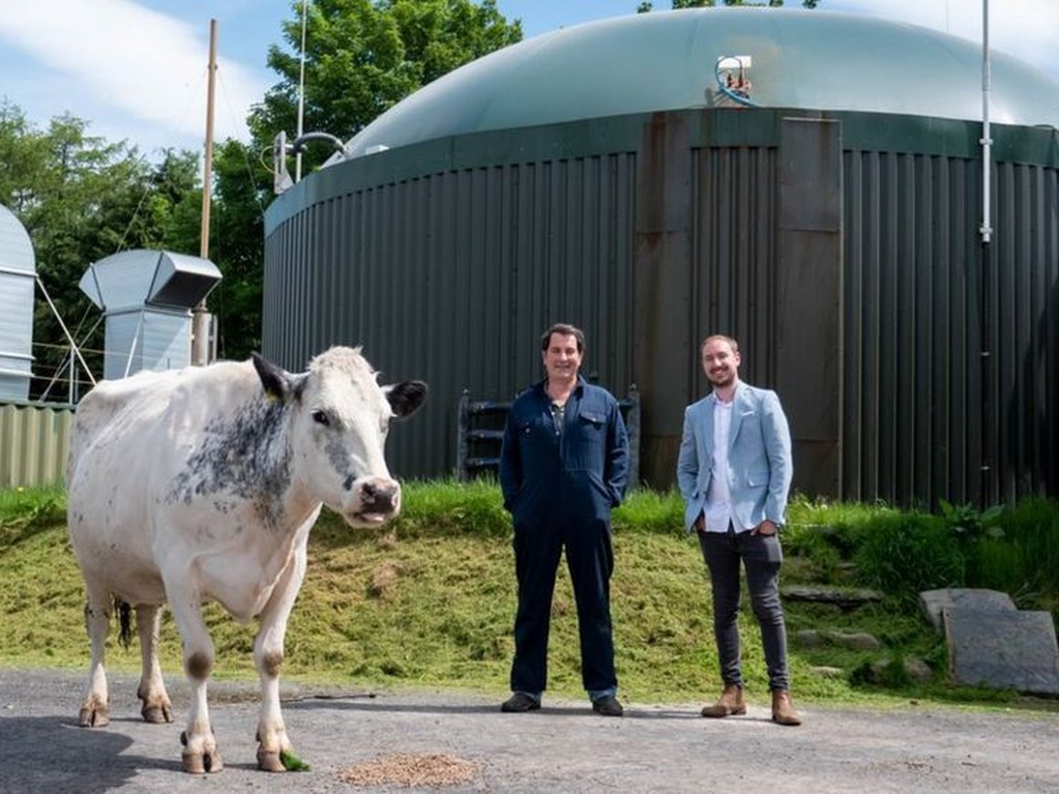 Британский фермер создал стартап по майнингу криптовалюты с помощью навоза