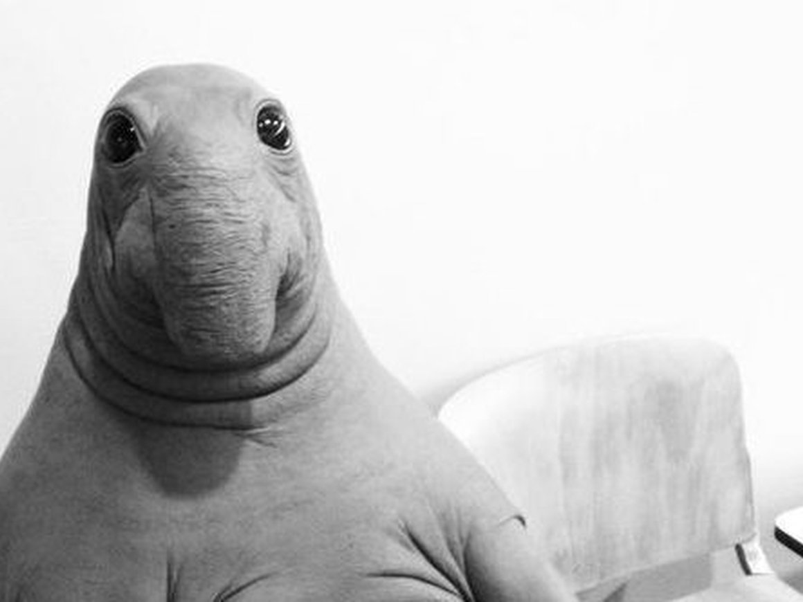 «Мегафон» и правообладатель «Ждуна» заключили мировое соглашение