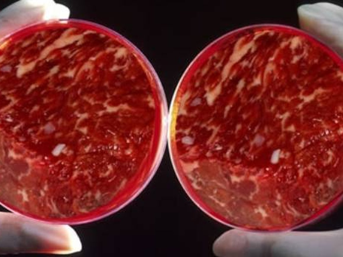 Ждет ли нас будущее с синтетическим мясом?