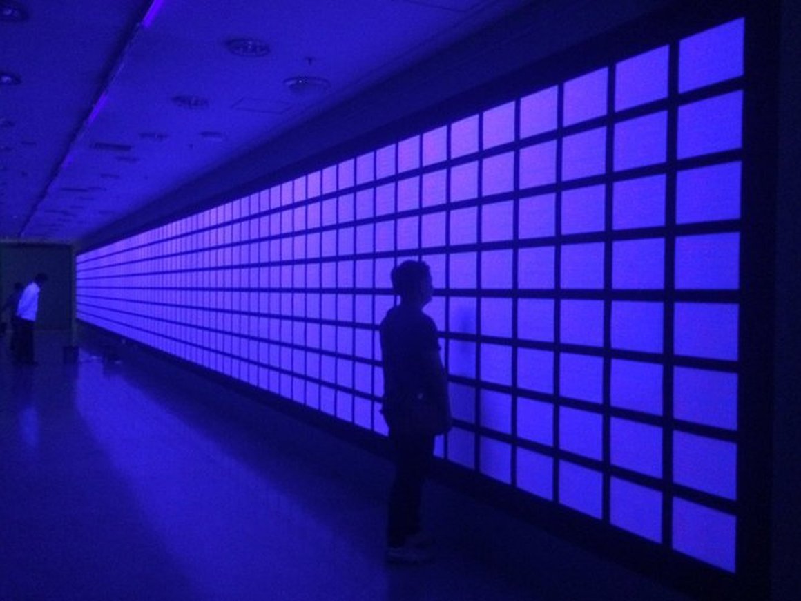 Личные данные 346 тысяч людей два дня висели на стене музея