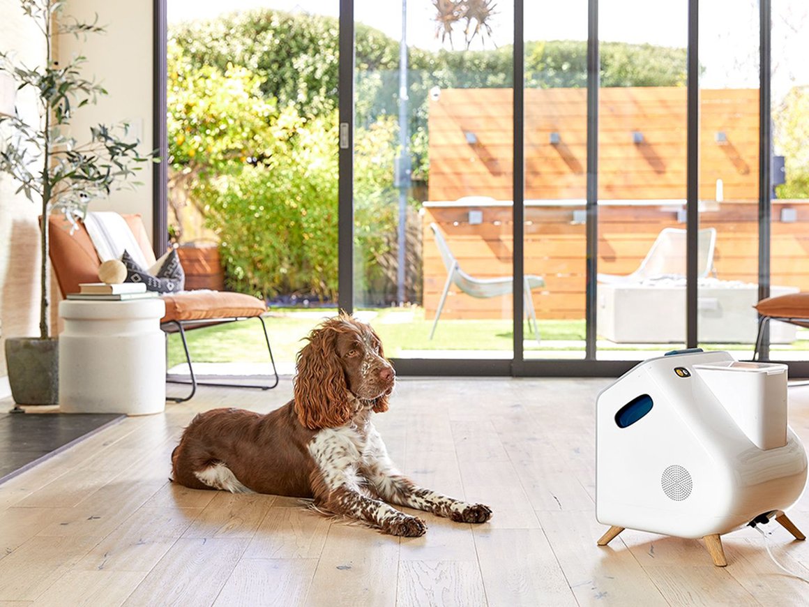 Американский стартап разработал чат-бота для собак