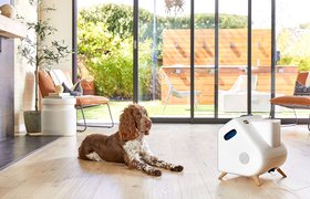 Американский стартап разработал чат-бота для собак