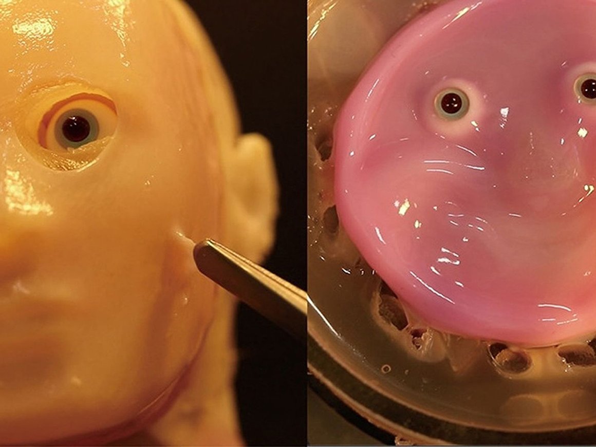 Ученые создали улыбающегося робота из кожи человека