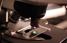 Bayer и «Сколково» открыли прием заявок на конкурс биотехнологических стартапов с грантами по 700 тысяч рублей