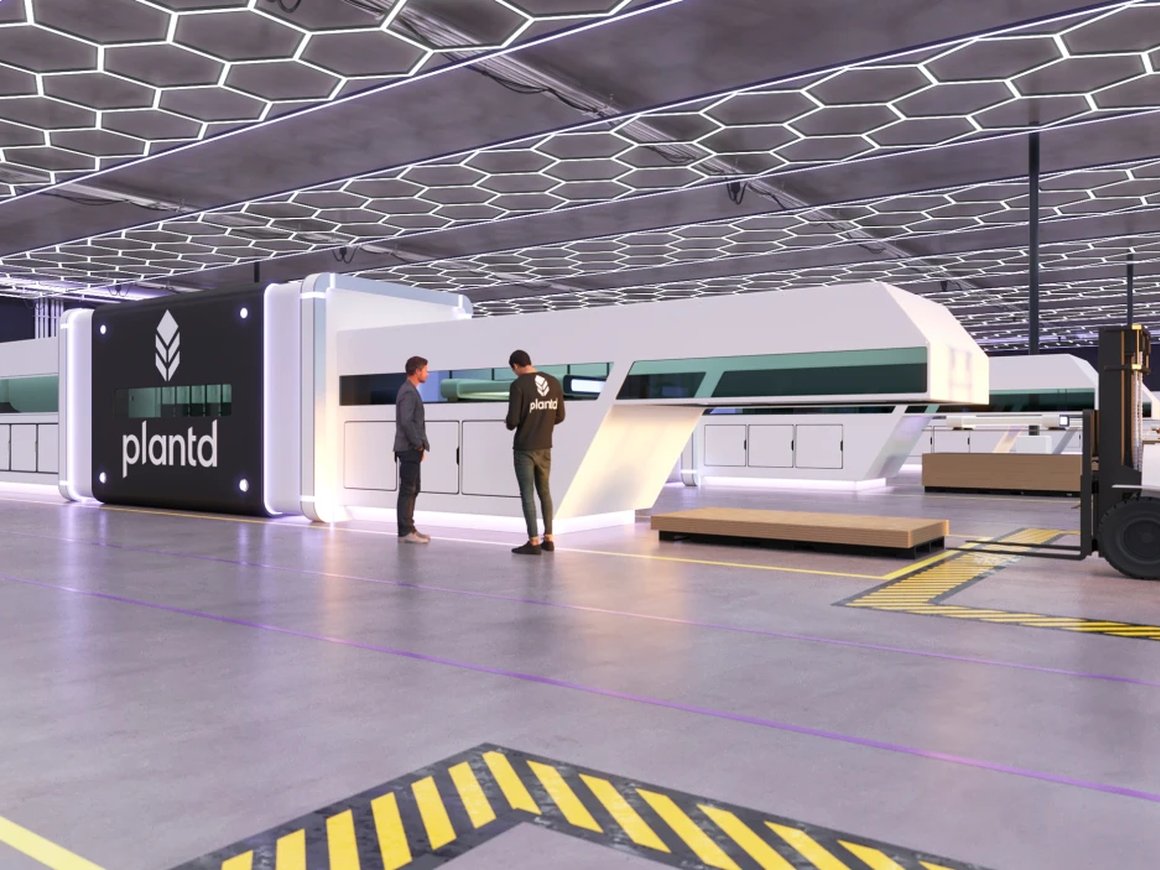 Стартап Plantd создает экологичные стройматериалы из травы