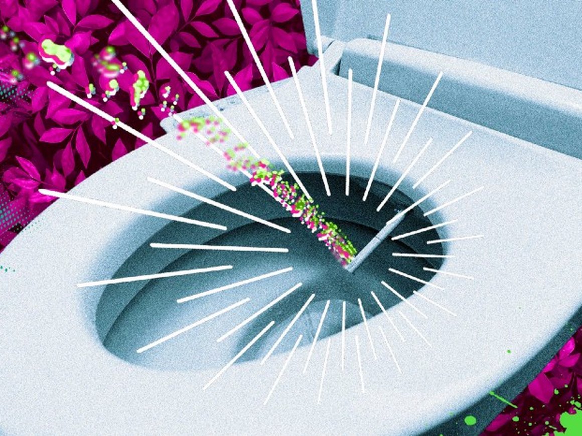 Почему высокотехнологичные туалеты из США стали популярны в Японии