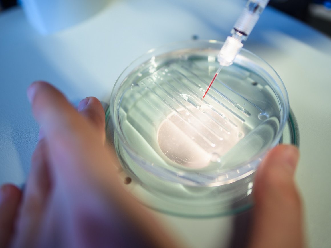 7 удивительных примеров использования CRISPR в реальной жизни