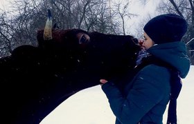 «Фермерство — это не грязная работа». Как подростки из Псковской области зарабатывают на молоке