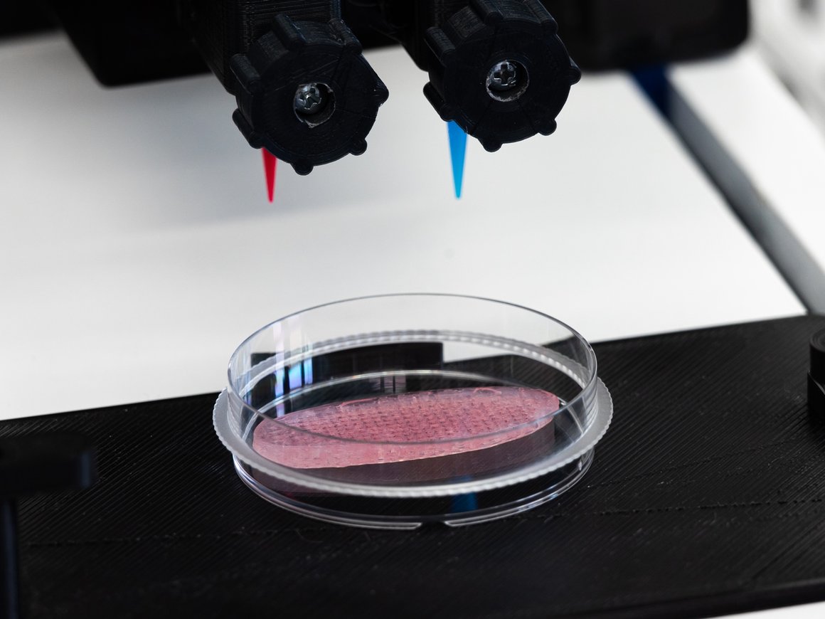 Российские ученые вырастят в лабораторных условиях котлету из «пробирочного» мяса