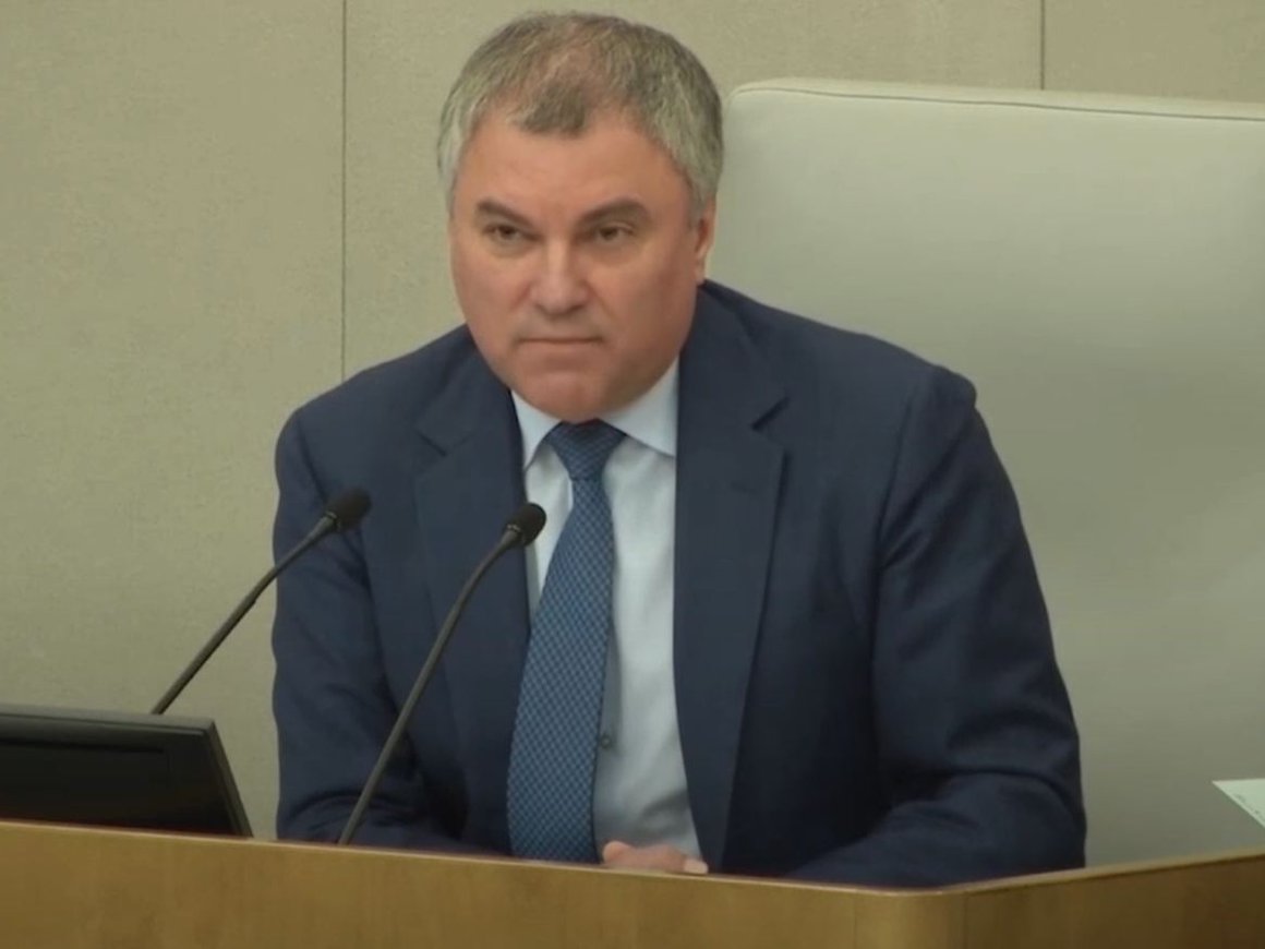 Володин предложил конфисковать имущество у критикующих Россию из-за рубежа