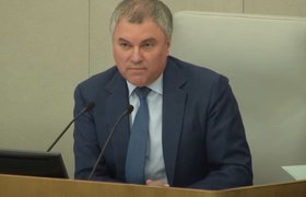 Володин предложил конфисковать имущество у критикующих Россию из-за рубежа