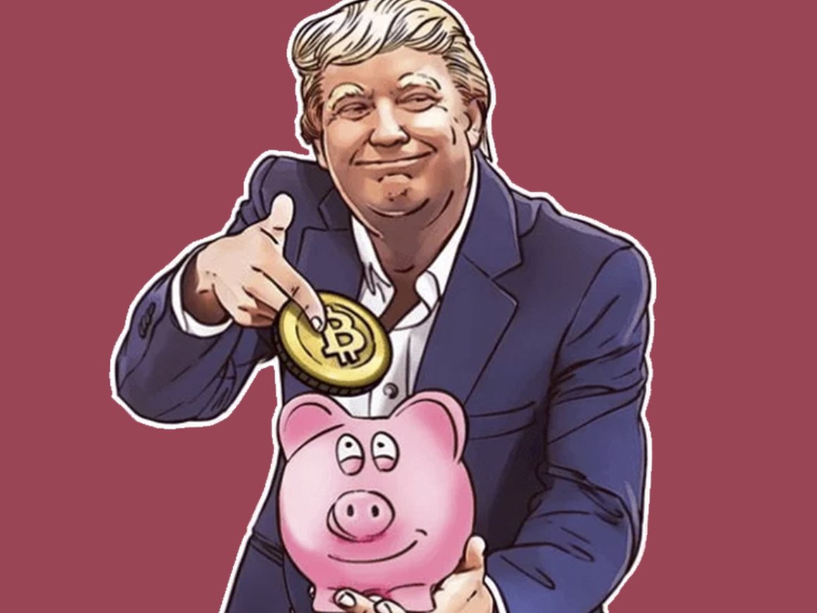 Где и как хранить криптовалюту, чтобы ее никто не украл