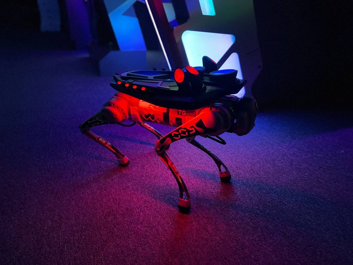 Киберспортивная сеть True Gamers Антона Василенко запустила робособак-официантов