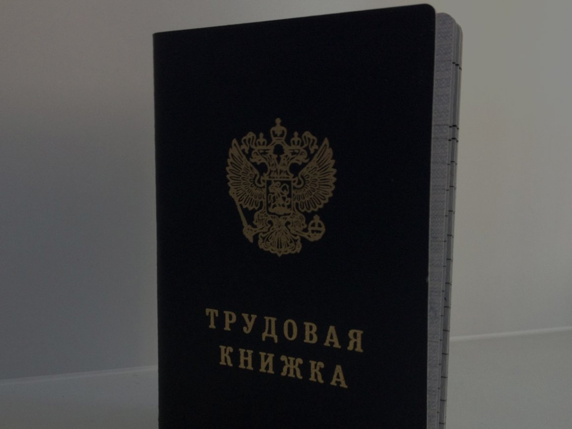 Минтруд сообщил о планах окончательно перейти на электронные  трудовые книжки к 2027 году