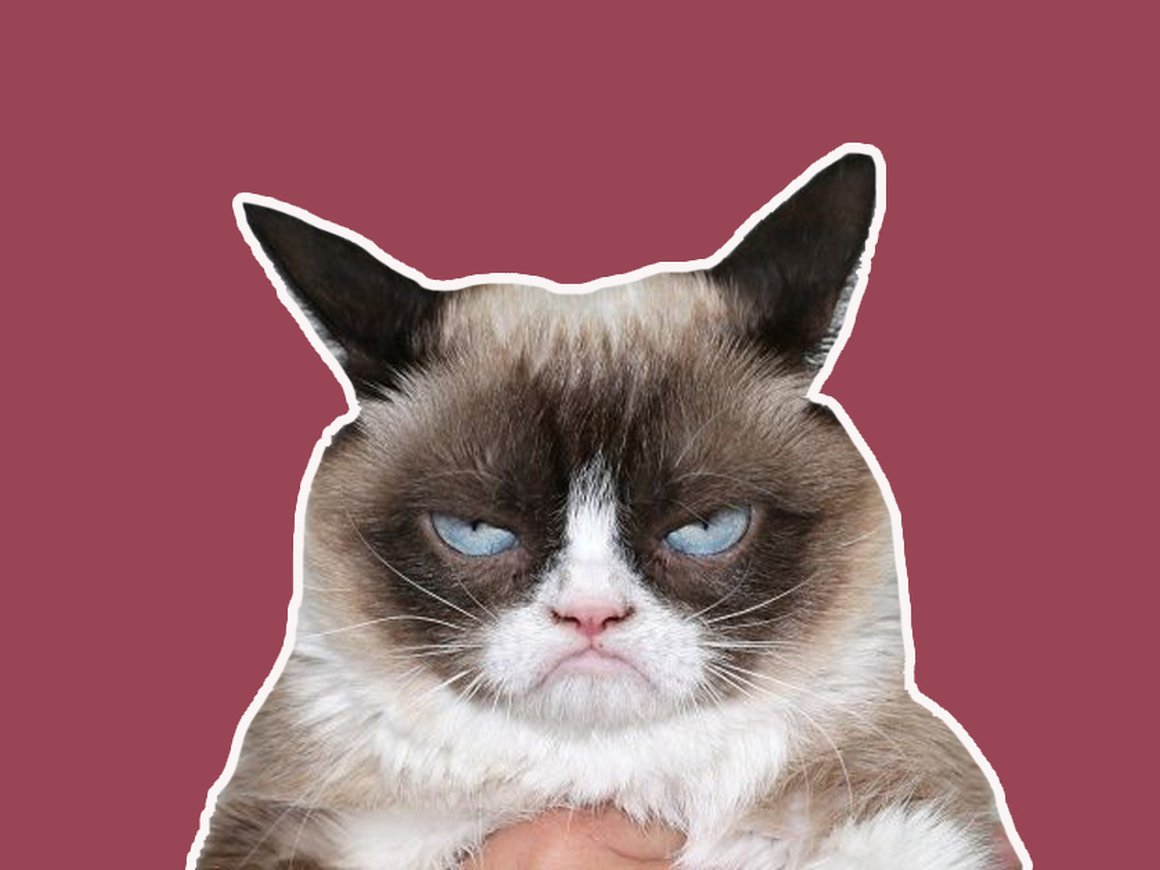 Как назвать стартап? Используйте мемы