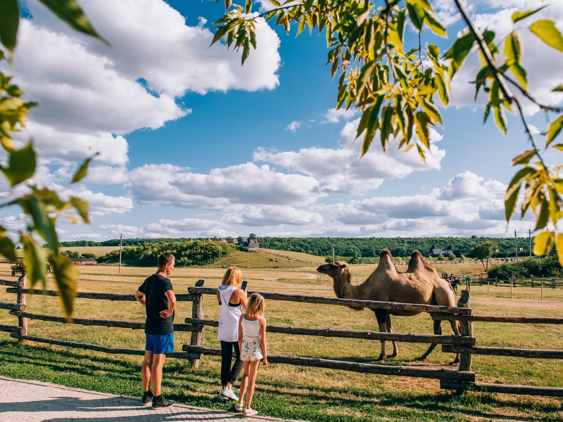 Внутренний туризм: пять правил для развития локального бизнеса