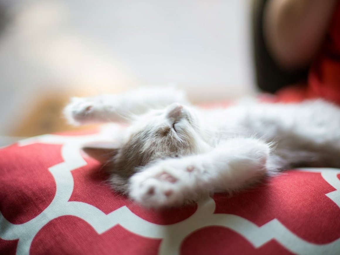 Матрица Эйзенхауэра — как повысить продуктивность