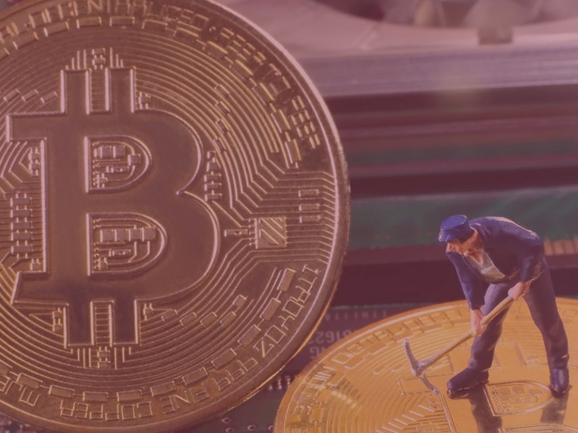 С какими компаниями по темпам роста можно сравнить биткоин