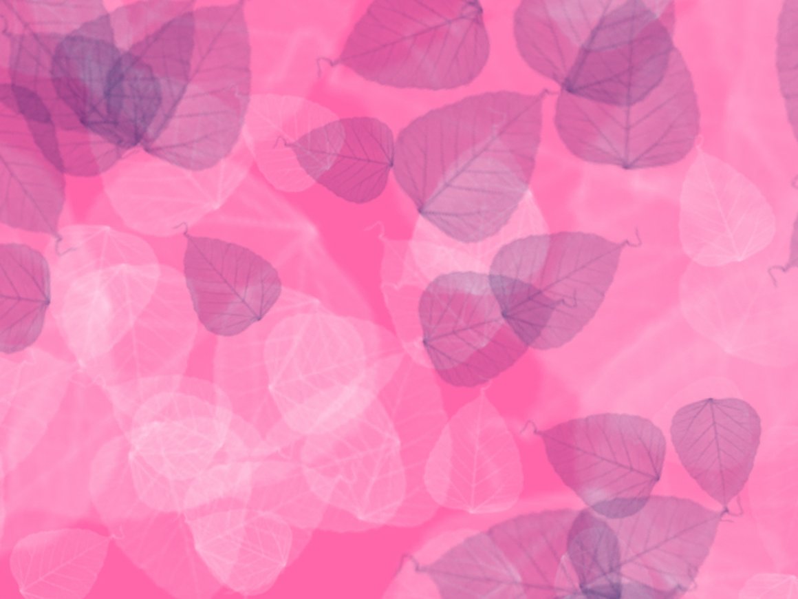 Героини Rusbase рассказали, что на самом деле хотят получить в подарок на 8 марта