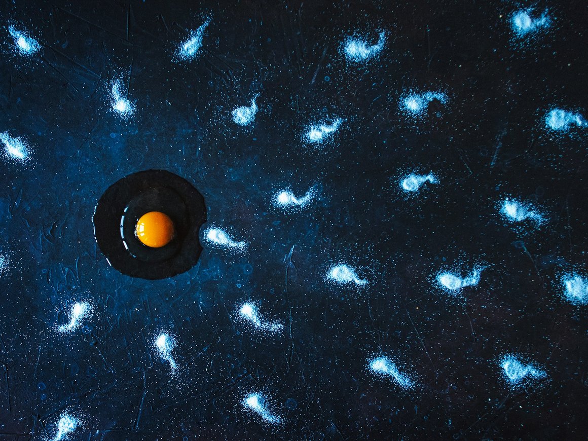 Илон Маск назвал «уровнем новичка» 100 биологических детей Дурова