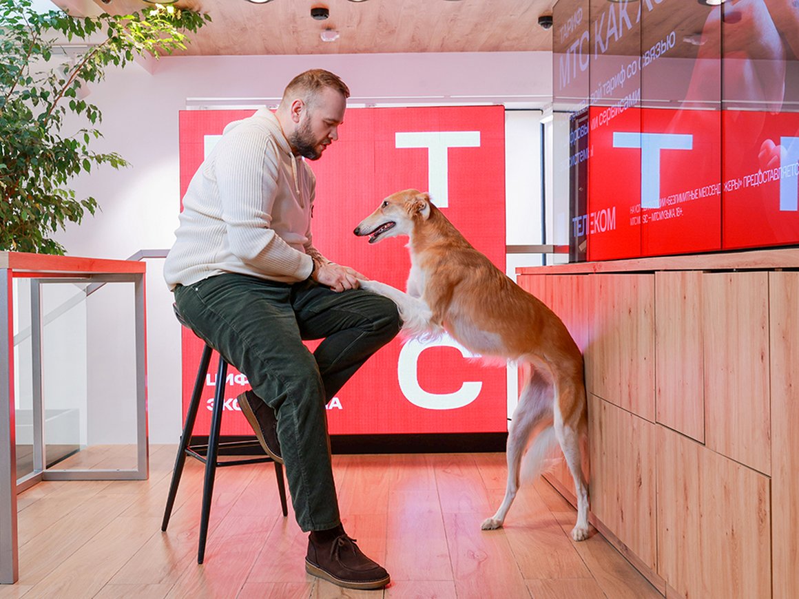 В магазины МТС теперь можно приходить вместе с домашними животными