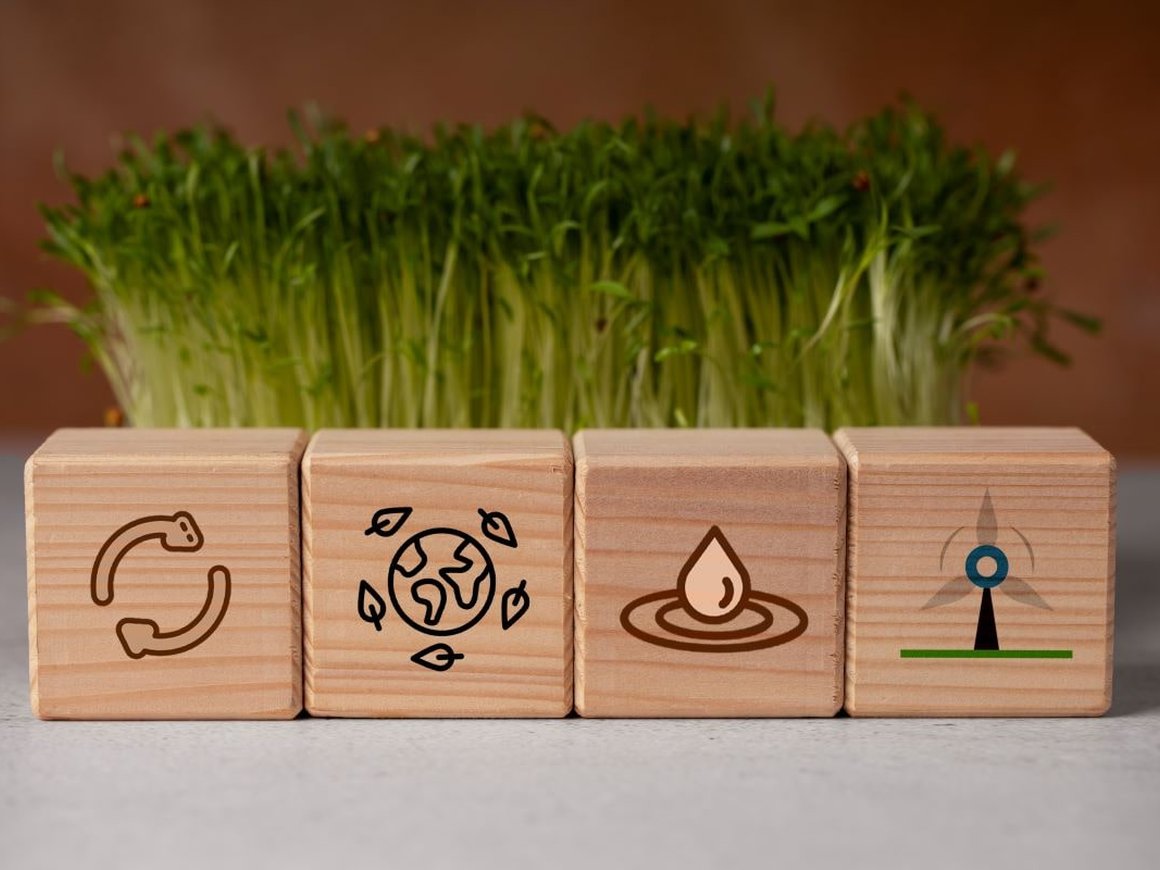 Что такое жизненный цикл компании и какие основные этапы