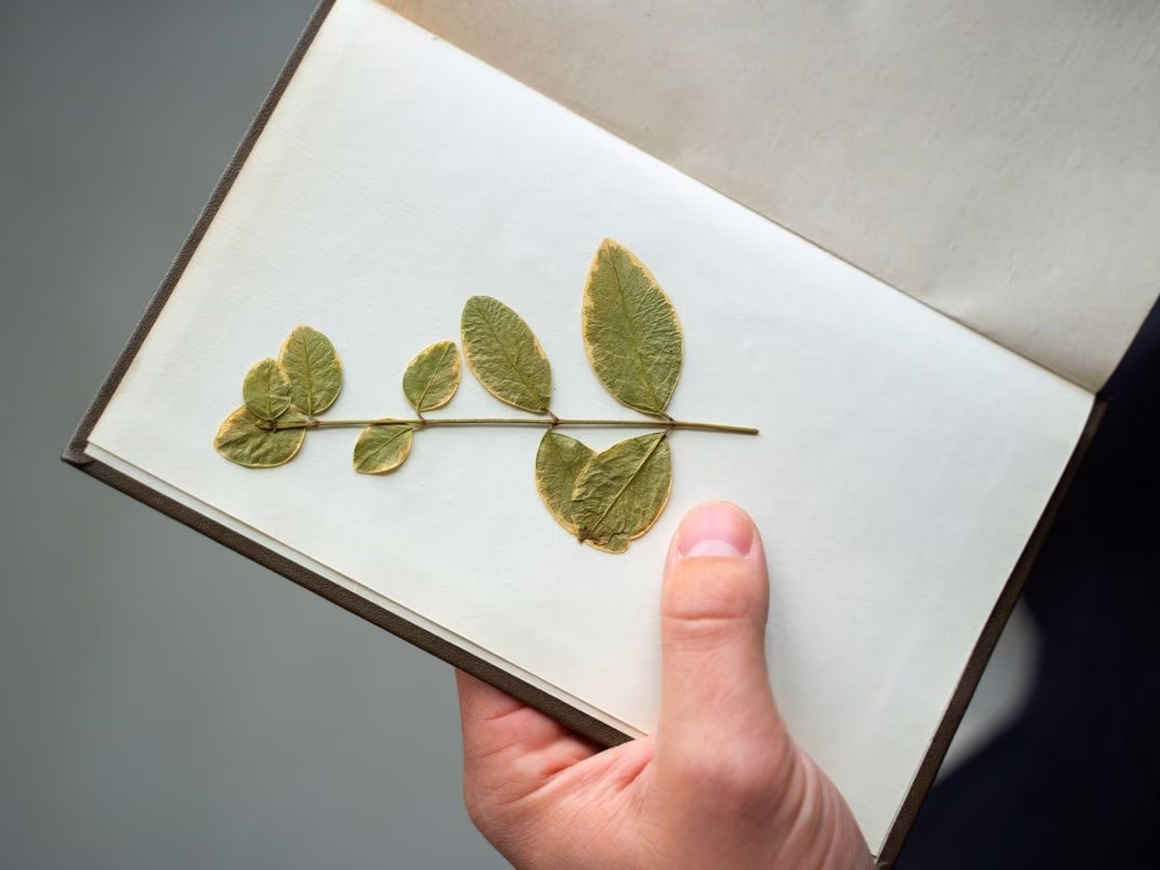 Референс-лист компании: как его правильно составить и каким образом использовать?