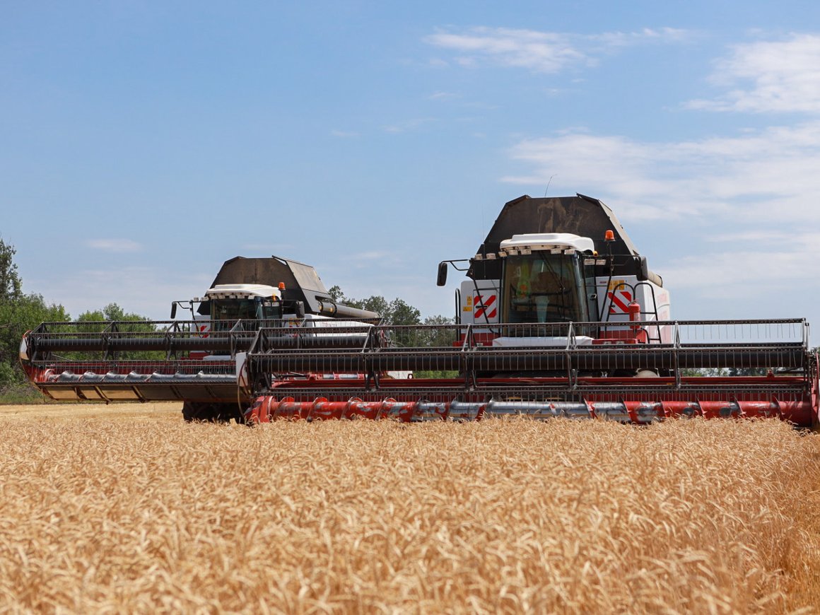 «Дочка» Сбербанка и Сognitive Technologies выпустила беспилотный комбайн для уборки зерновых