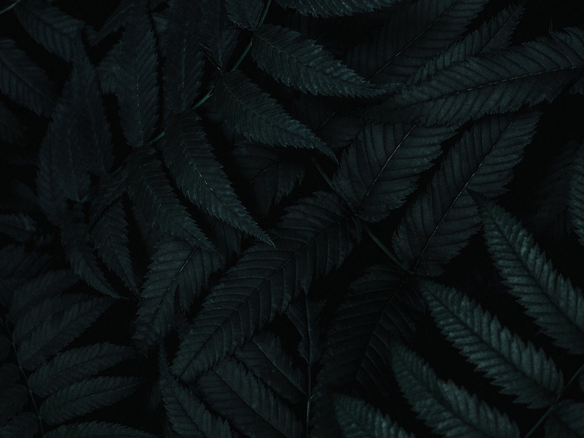 Московские предприниматели расскажут о своих провалах