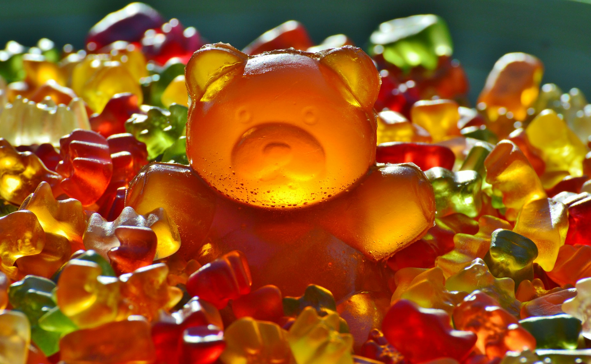 Производитель мармелада Haribo продлил права на бренд в России