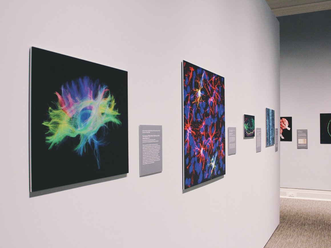 Студент НИТУ «МИСиС» создал нейросеть, которая пишет картины