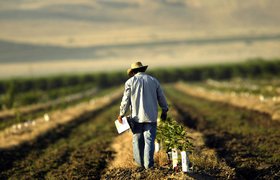 Онлайн-платформа для фермеров eAgronom привлекла 1 млн евро