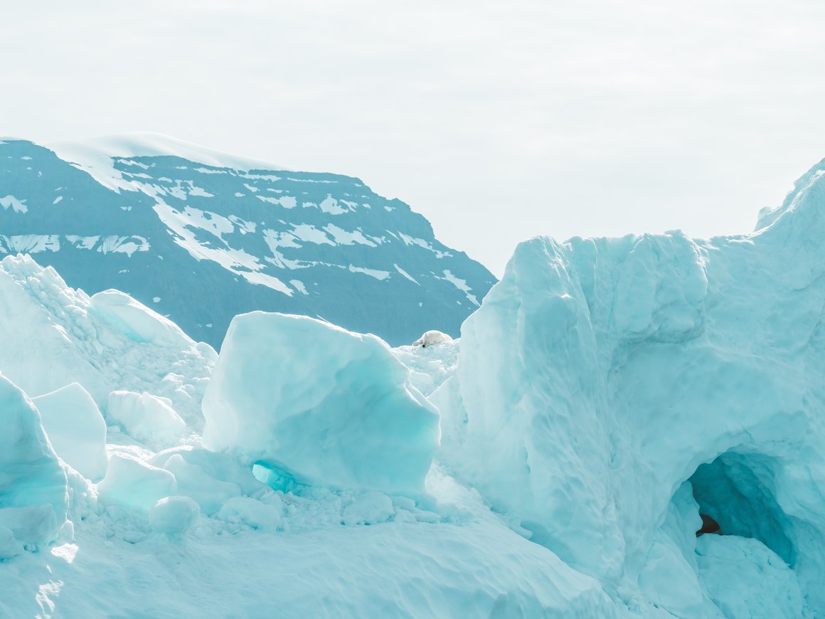 13 сентября ва ВЭФ-2023 стартует «Арктическая стартап-экспедиция: Дальний Восток и Арктика России»
