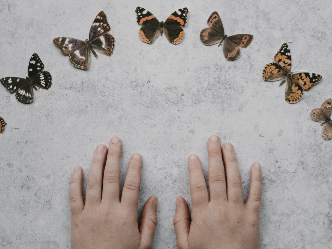 7 способов избежать проблем с контрагентом с признаками фирмы-«однодневки»