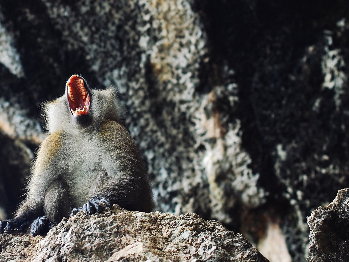 Как стать главным в офисе в первую неделю работы. Инструкция от программиста