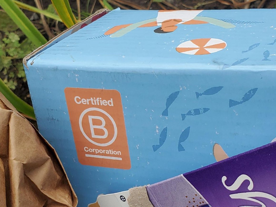 Сила добра или маркетинг? За что критикуют систему B Corp