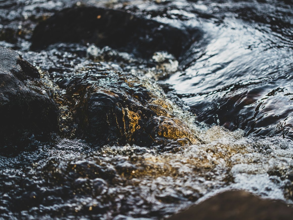 Заводу Novabev Group приостановили лицензию из-за экологических проблем