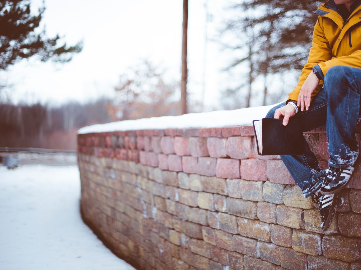 Куда пойти учиться: образовательные программы в декабре 2018 года