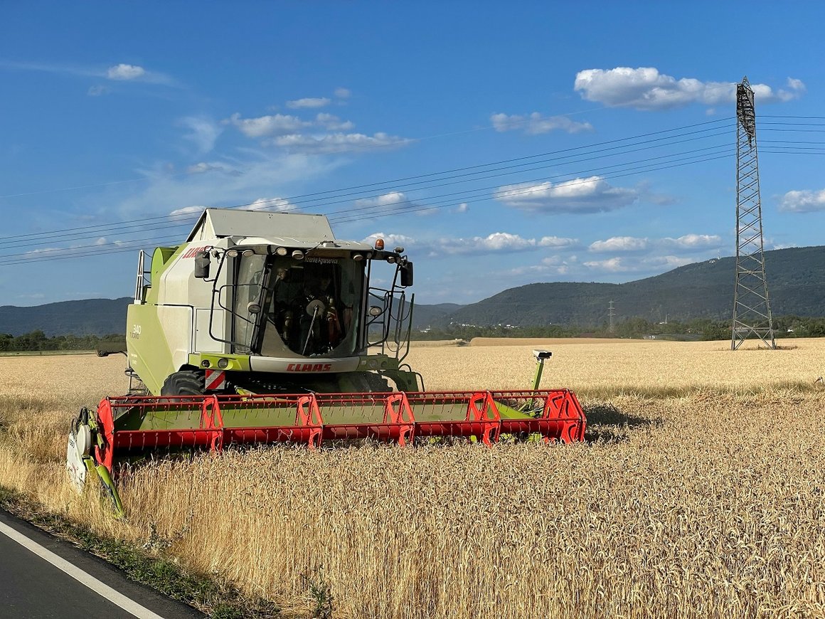 FAO хотела бы открыть представительства в каждом округе РФ