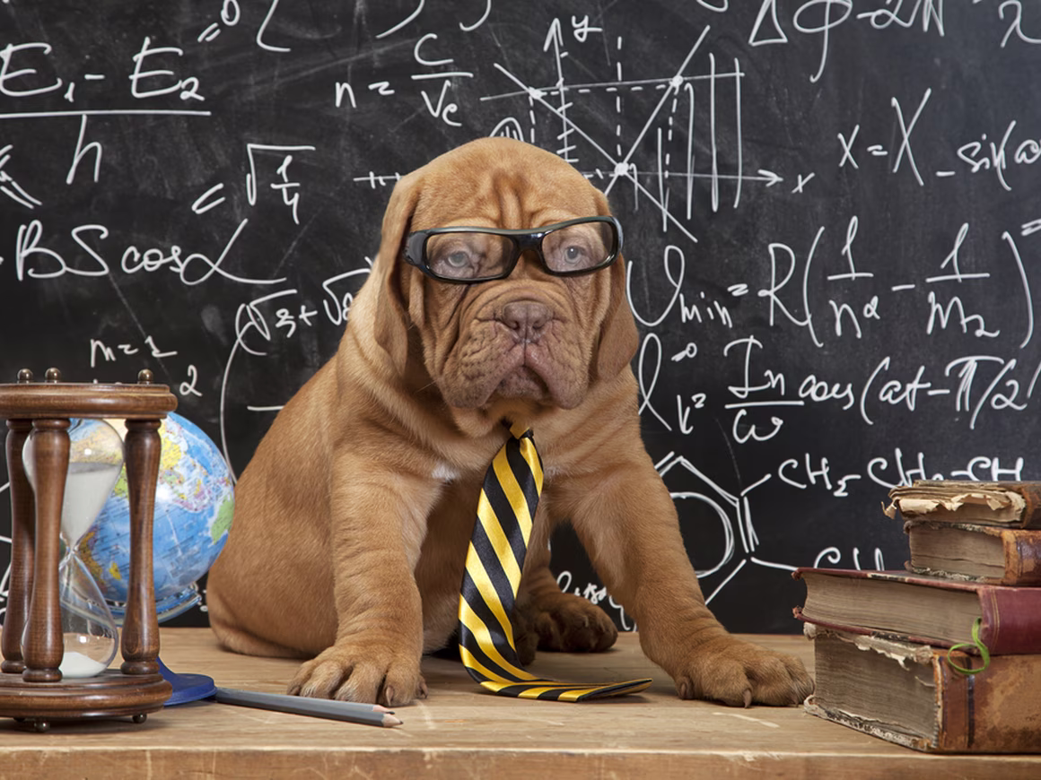 Девять лучших курсов по Big Data для дата-сайентистов и менеджеров