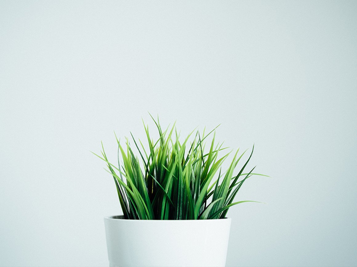 Пять методов, которые помогут молодому бизнесу выжить в конкурентной нише