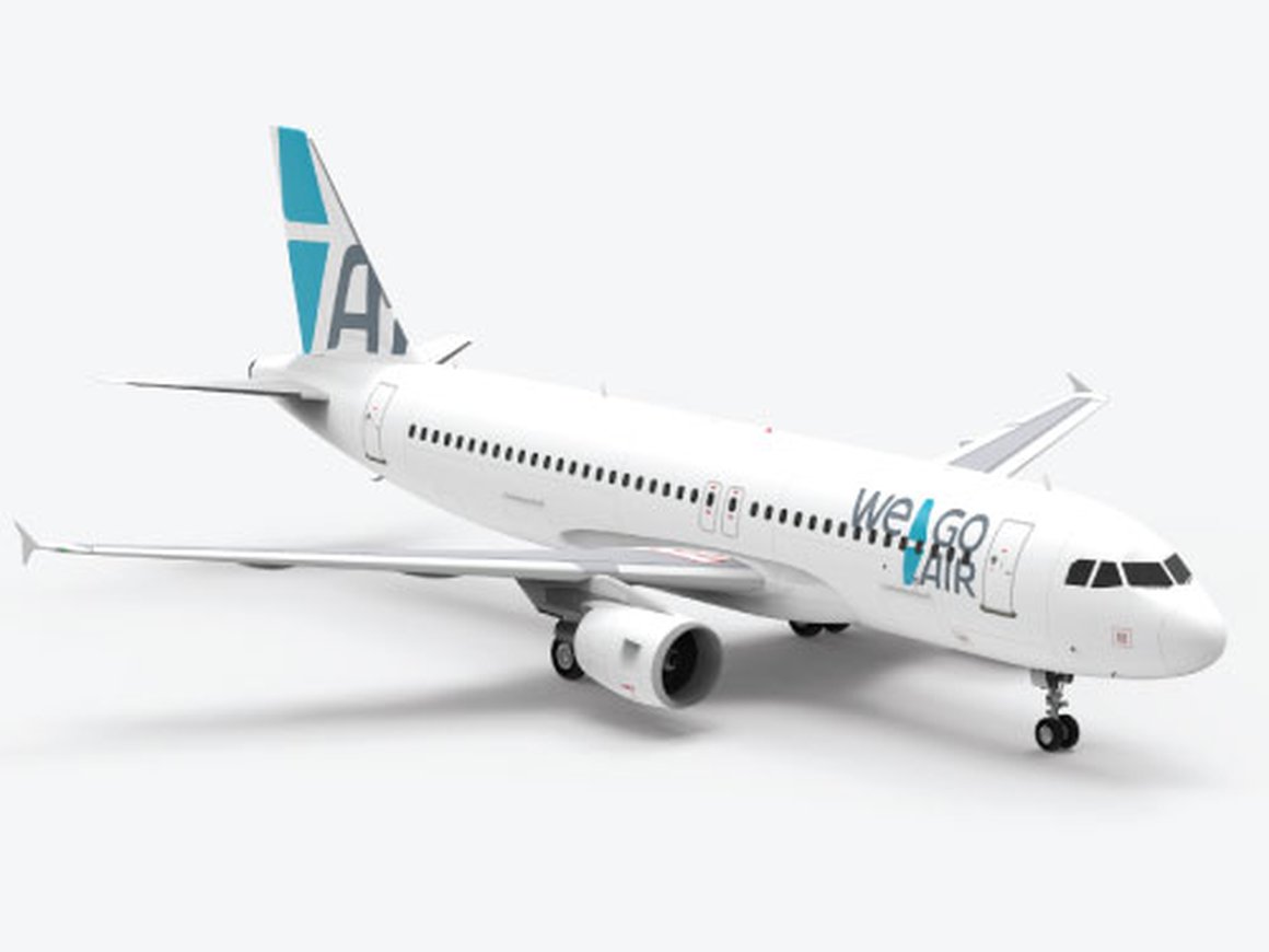 В России планируется запуск новой авиакомпании в 2019 году