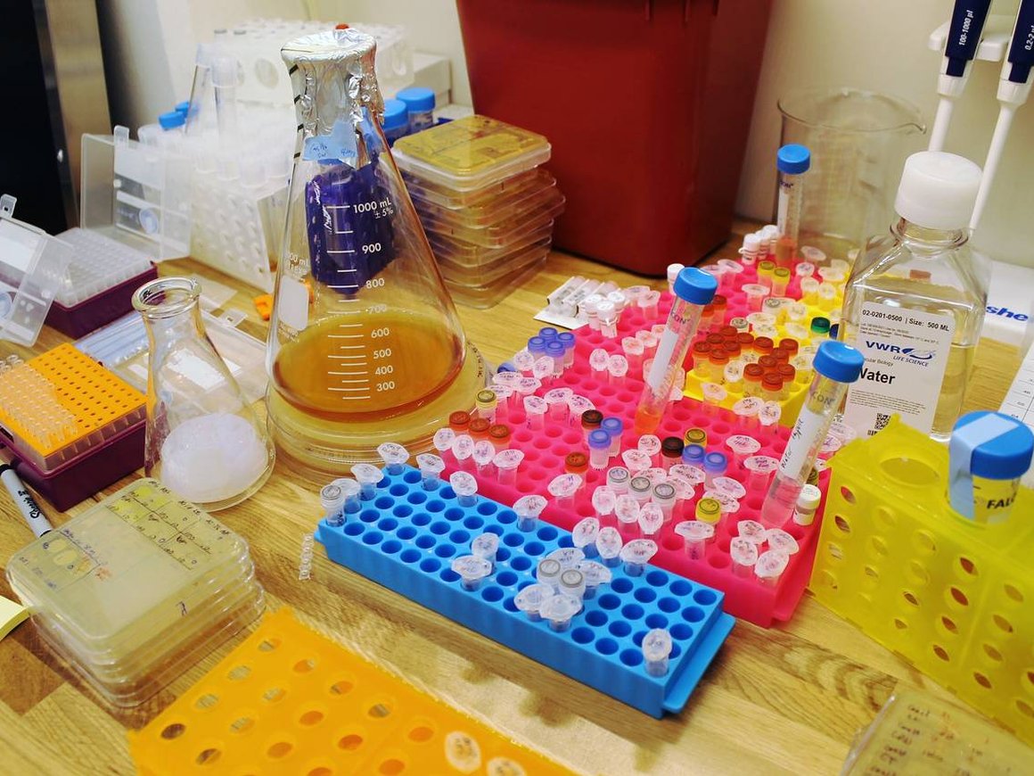 Поможет ли CRISPR там, где антибиотики бессильны?