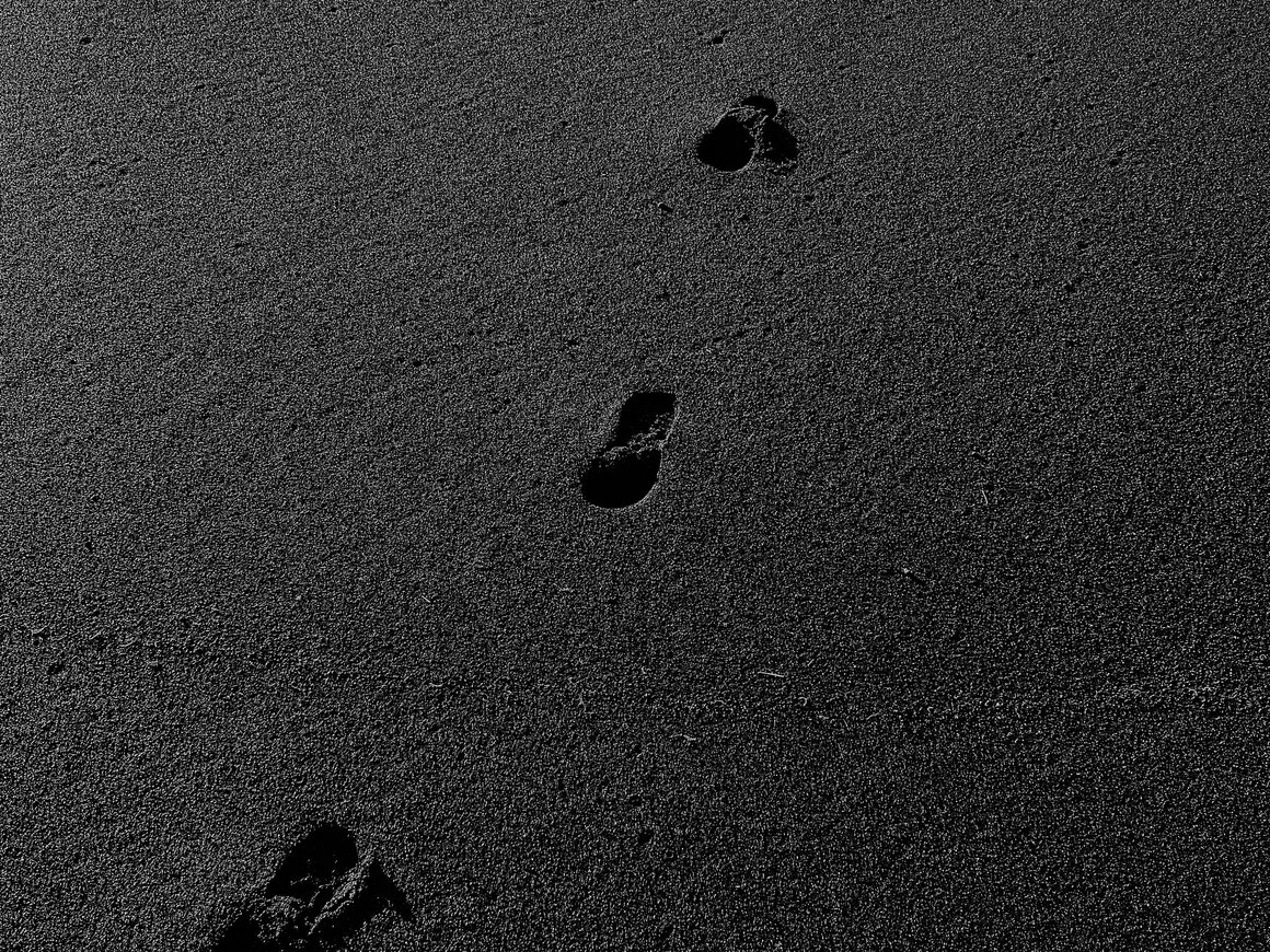 «Тинькофф банк» не собирается менять название, X5 Group стала крупнейшим импортером алкоголя: главное 7 ноября