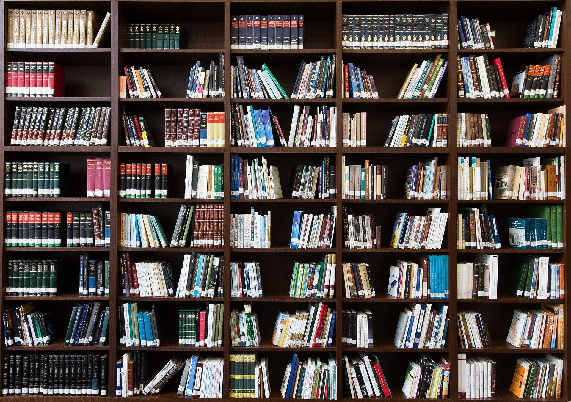 Как сохранить компанию в кризис: опыт независимых книжных магазинов